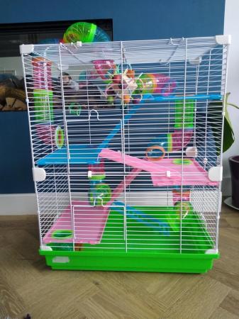 Image 1 of Pawhut 5 tier hamster cage