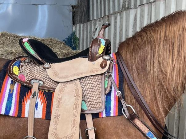 Image 2 of Western saddle and tack