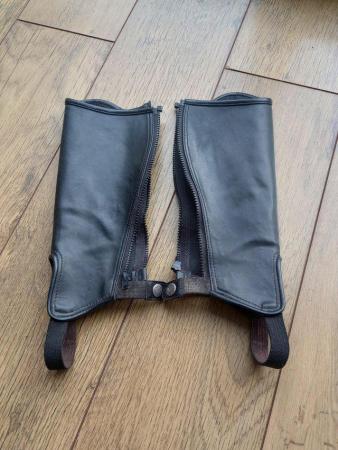 Image 3 of Child's large shires riding chaps