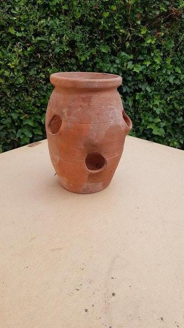 Preview of the first image of Tomato Plant Pot.............................................