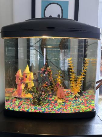 Image 5 of Fish tank  set up with 2 fish