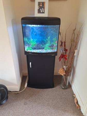 Image 2 of Fish and tank 65 litre and stand