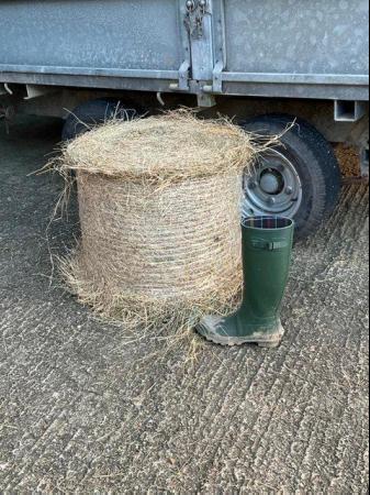 Image 1 of EXCELLENT QUALITY MEADOW HAY FOR SALE