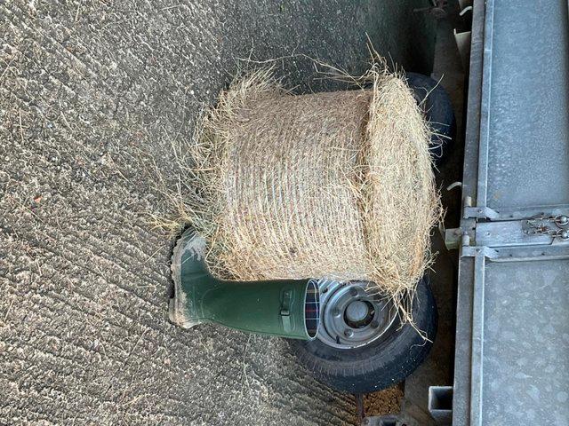 Preview of the first image of EXCELLENT QUALITY MEADOW HAY FOR SALE.