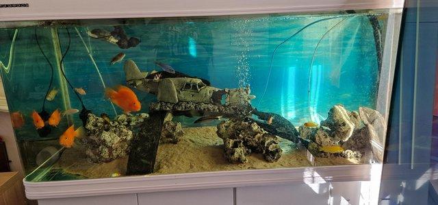 Image 2 of 5ft fish tank and cabinet for sale