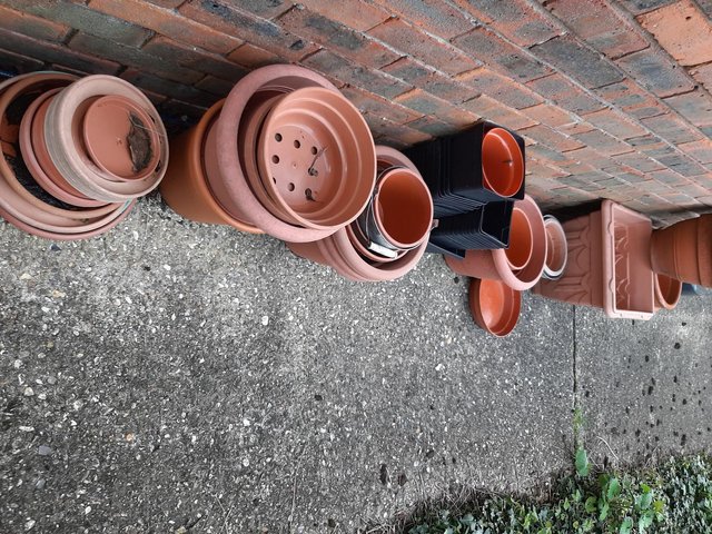 Preview of the first image of VARIOUS USED GARDEN POTS. TERRACOTTA & PLASTIC.
