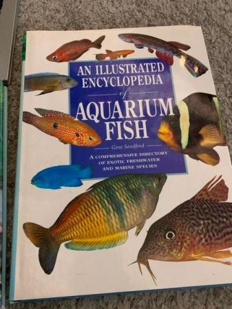 Image 2 of 3 Tropical Fish Books Hardback