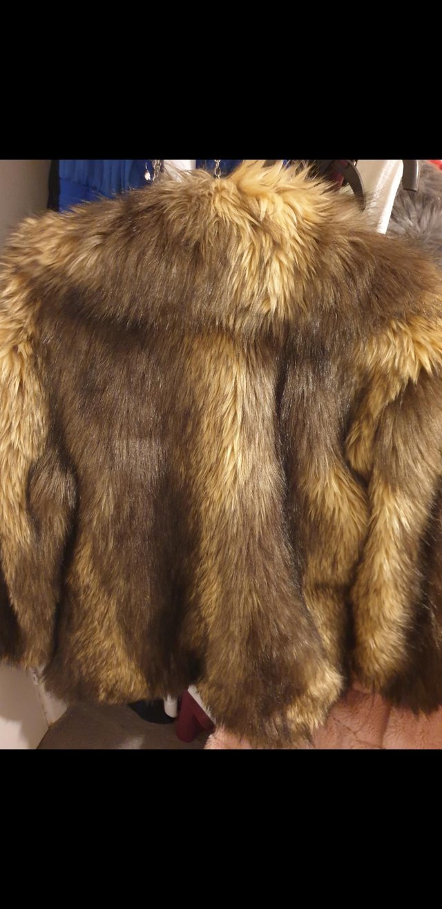 Preview of the first image of Faux Fur Coat asos size 12-14.