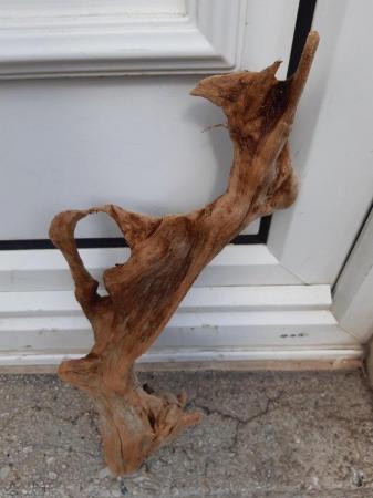 Image 3 of Bog wood /drift wood pieces from £2
