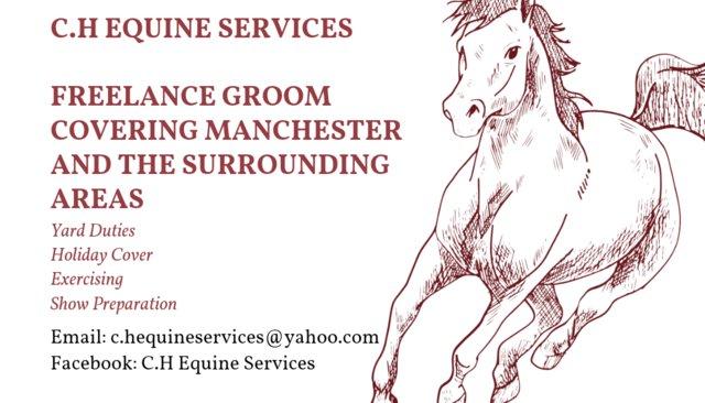 Image 2 of ! Equine Freelance Groom !