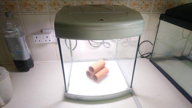 Preview of the first image of Water tight tank for tropical fish..