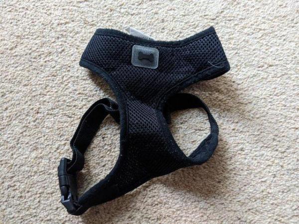 Image 3 of Harness for puppies or small dog 'Pets at Home'