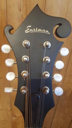 Image 9 of Eastman MD 315 Mandolin For Sale