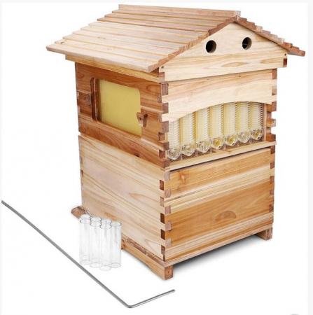 Image 5 of Auto flow bee hive (bees £200 extra)