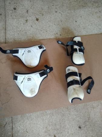 Image 1 of Fetlock and Tendon boots