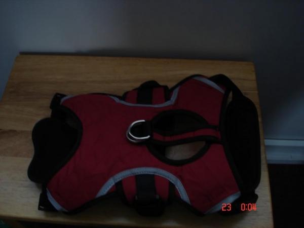 Image 3 of red/black dog harness very strong