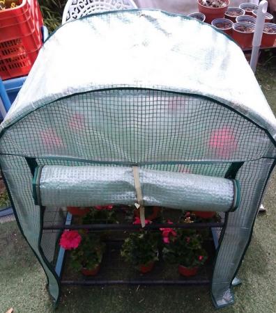 Image 5 of Mini Greenhouse for Plants & Seedlings