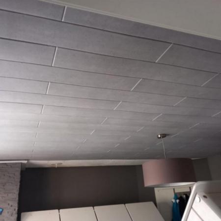 Image 55 of Wall Panel Covering Panels Ceiling XPS Lightweigt