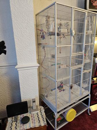 Image 1 of 2 budgies and large cage