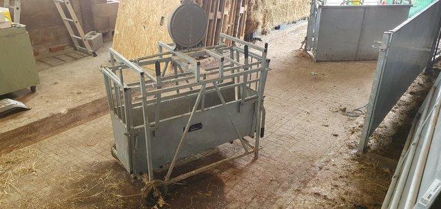 Image 2 of Bateman Sheep Lamb Weighing Scales No Vat