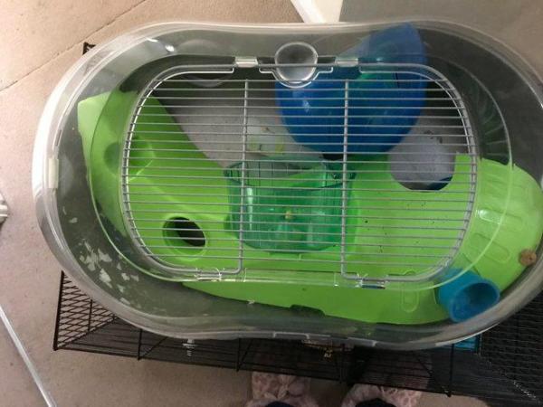 Image 1 of Hamster cages. Priced seperately