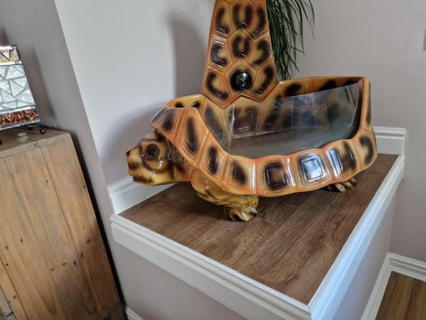 Image 2 of Komodo Tortoise table house