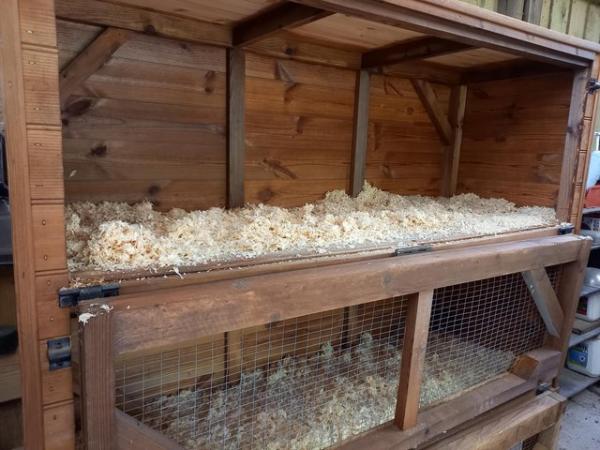 Image 4 of Very Strong Rabbit/Guinea Pig Hutch or Chick brooder