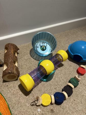 Image 2 of Hamster toy bundle all great condition