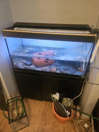 Image 4 of Fluval roma 240l tank with accessories