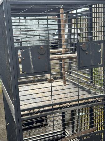 Image 1 of Parrot cages for sale used condition