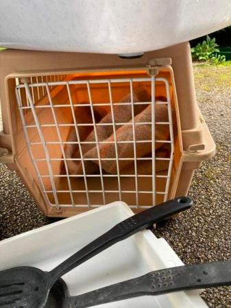 Image 5 of Cat accessories, travel carrier, litter trays, scoops etc