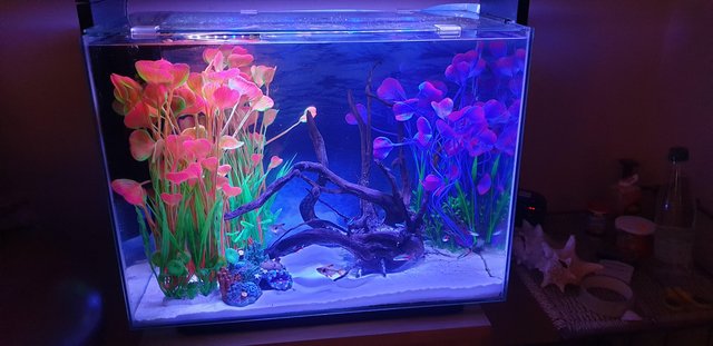 Preview of the first image of 80lt Aquarium used but working condition.