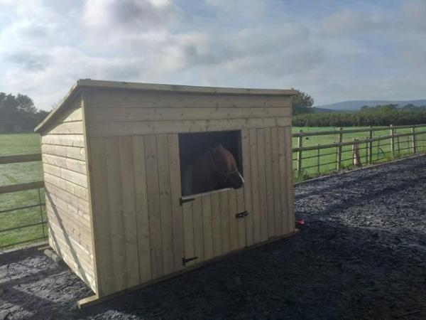 Image 3 of 8ft x 5ft x 5'6'' field pony shelter