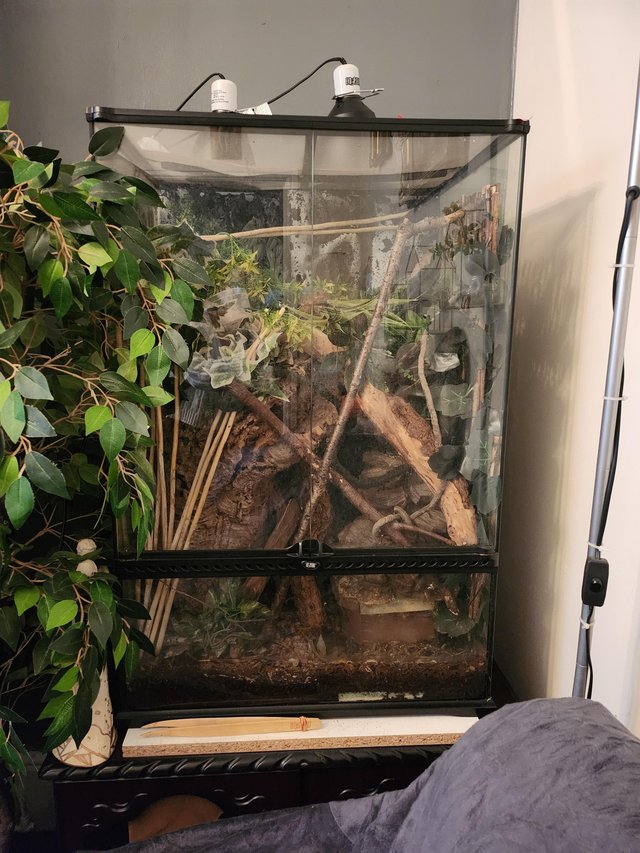 Preview of the first image of VIVARIUM 3ft Tall by 2ft.
