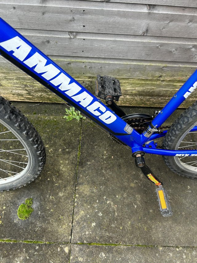 Adult mountain bike AMMACO - £50