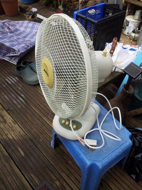 Preview of the first image of 12" OSCILLATING ELECTRIC DESK FANS, 3 SPEED.