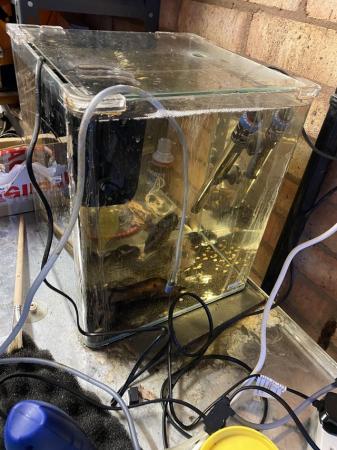 Image 1 of Tropical Aquarium complete with equipment and fish