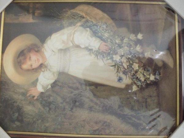 Image 1 of Harebells Picture in Mahogony Colour Frame (New)