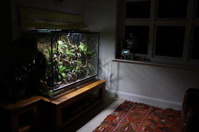 Image 1 of 4ft Glass Reptile/Amphibian Vivarium *TANK ONLY*