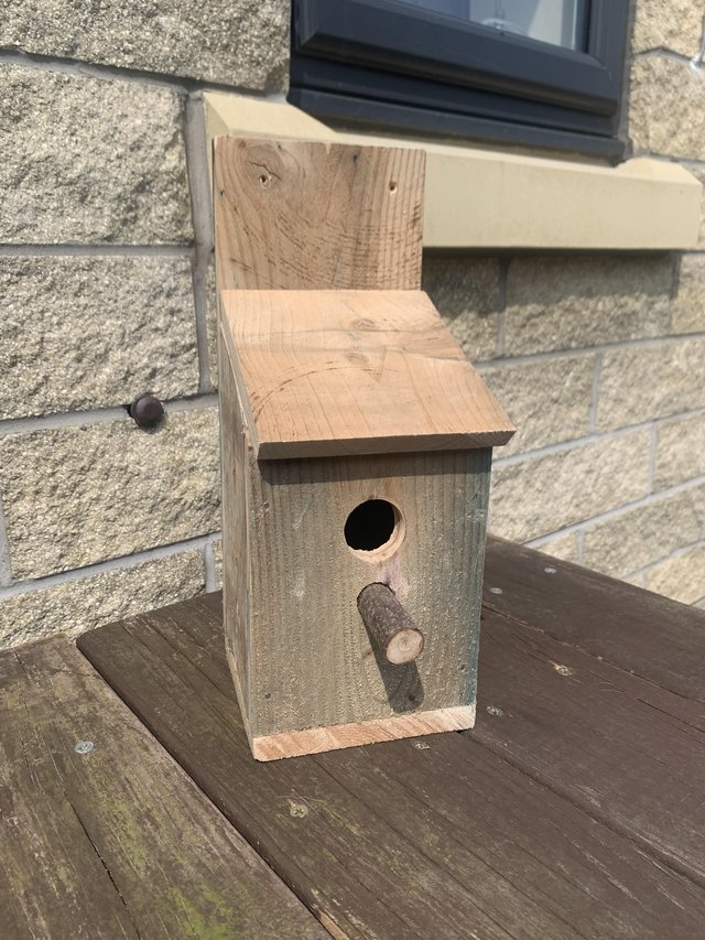 Preview of the first image of Wild Bird nesting box…...