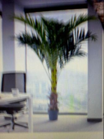 Image 2 of Palm ARECA 180cm Artificial Indoor/Outdoor NEW