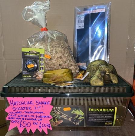Image 2 of Hatchling snake starter kit £50