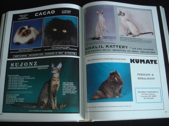Preview of the first image of CFA (USA) Year Book Pedigree Show Cats GCCF Persian Siamese.