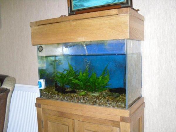 Image 1 of solid oak stand incorporating a fish tank