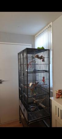 Image 7 of 175cm large bird / parrot / small animal cage on stand