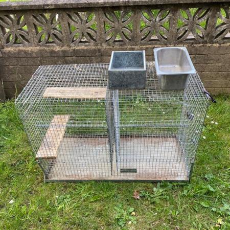 Image 3 of Chinchilla cage and accessories