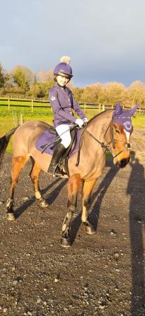 Image 1 of For loannew forest pony would sell if it’s right