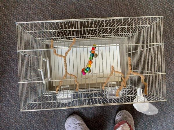 Image 14 of New large bird cage for sale