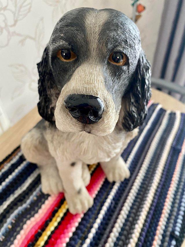 Preview of the first image of Resin cocker spaniel dog looking for good home.