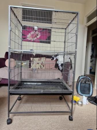 Image 4 of Large bird cage nearly new and new accessories.